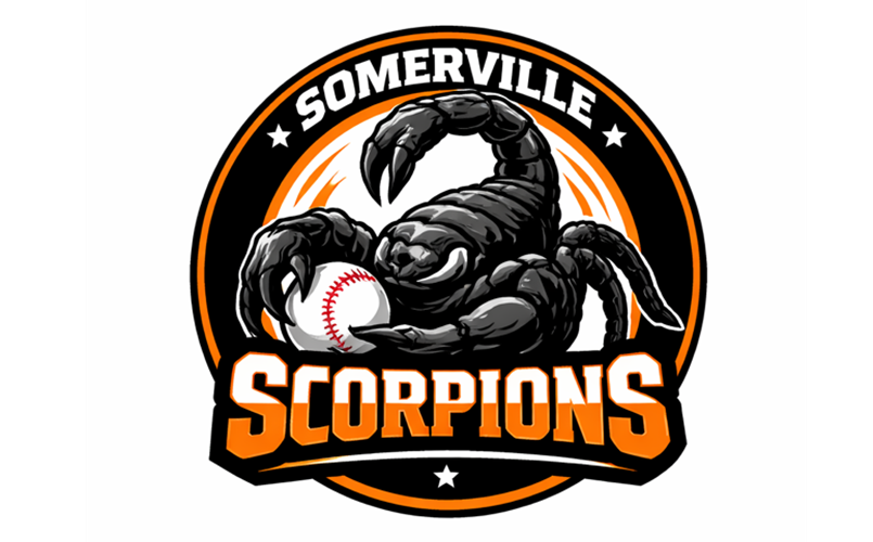 Scorpions Baseball